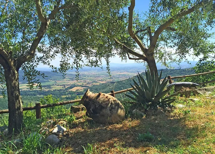 度假居 Del Sole *